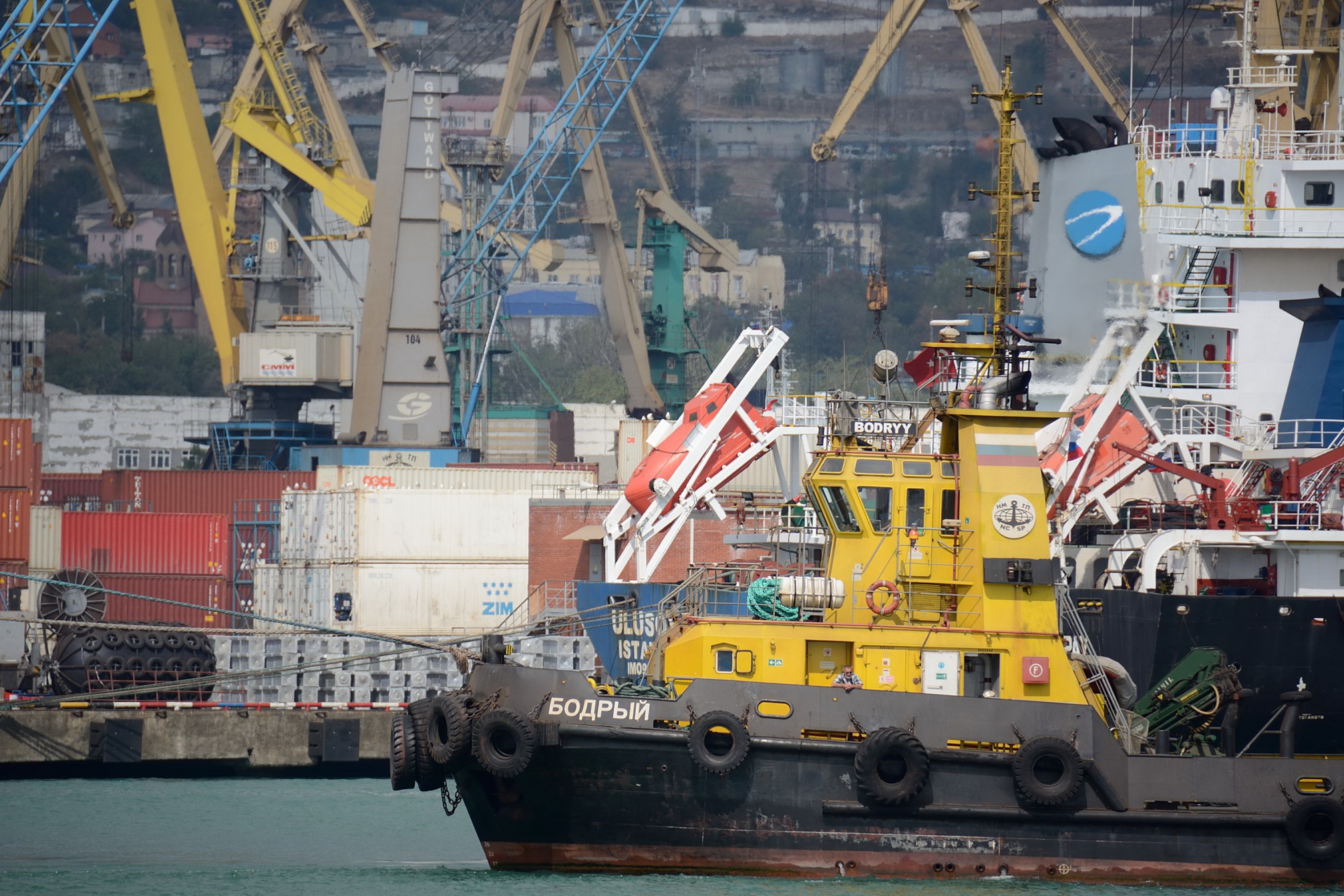 В Новороссийске порт заплатит более 9 миллионов рублей за вред морю