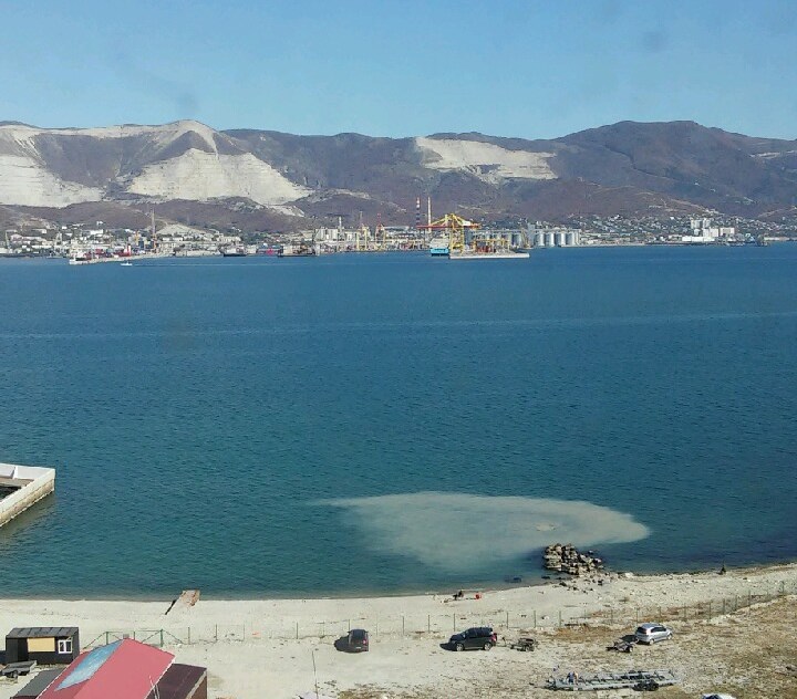 В Новороссийске снова сливали белую жидкость в море