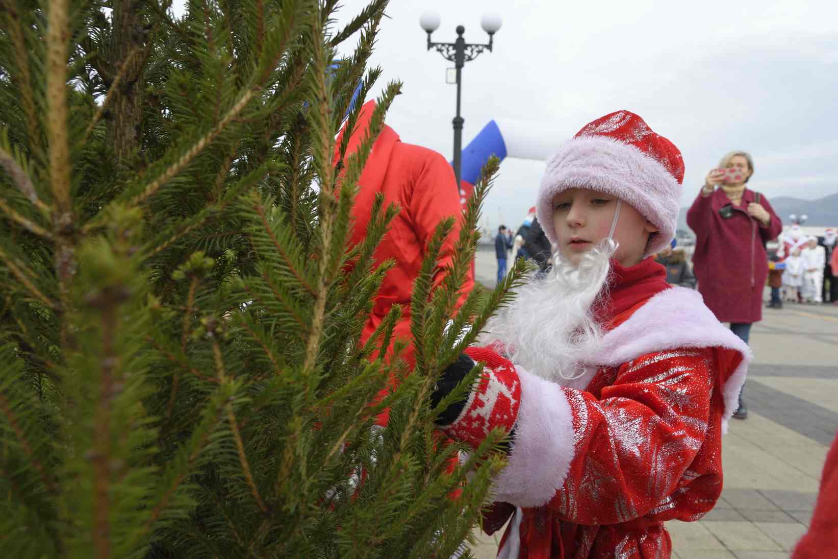 В Новороссийске за пробежку в костюме Деда Мороза дарили елку