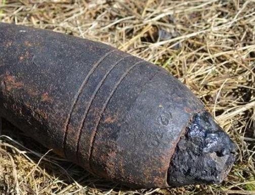Под Новороссийском в лесу снова обнаружены боеприпасы времен войны
