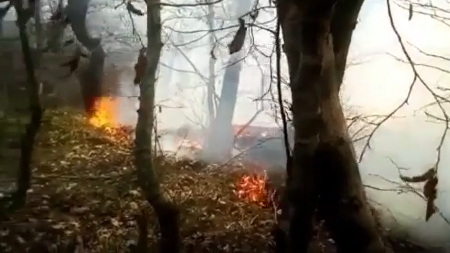 В Новороссийске снова высокий класс пожароопасности