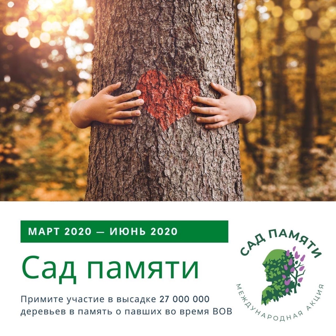 «Сад Памяти» в Новороссийске: посади свое дерево в память о погибших в Великой Отечественной войне