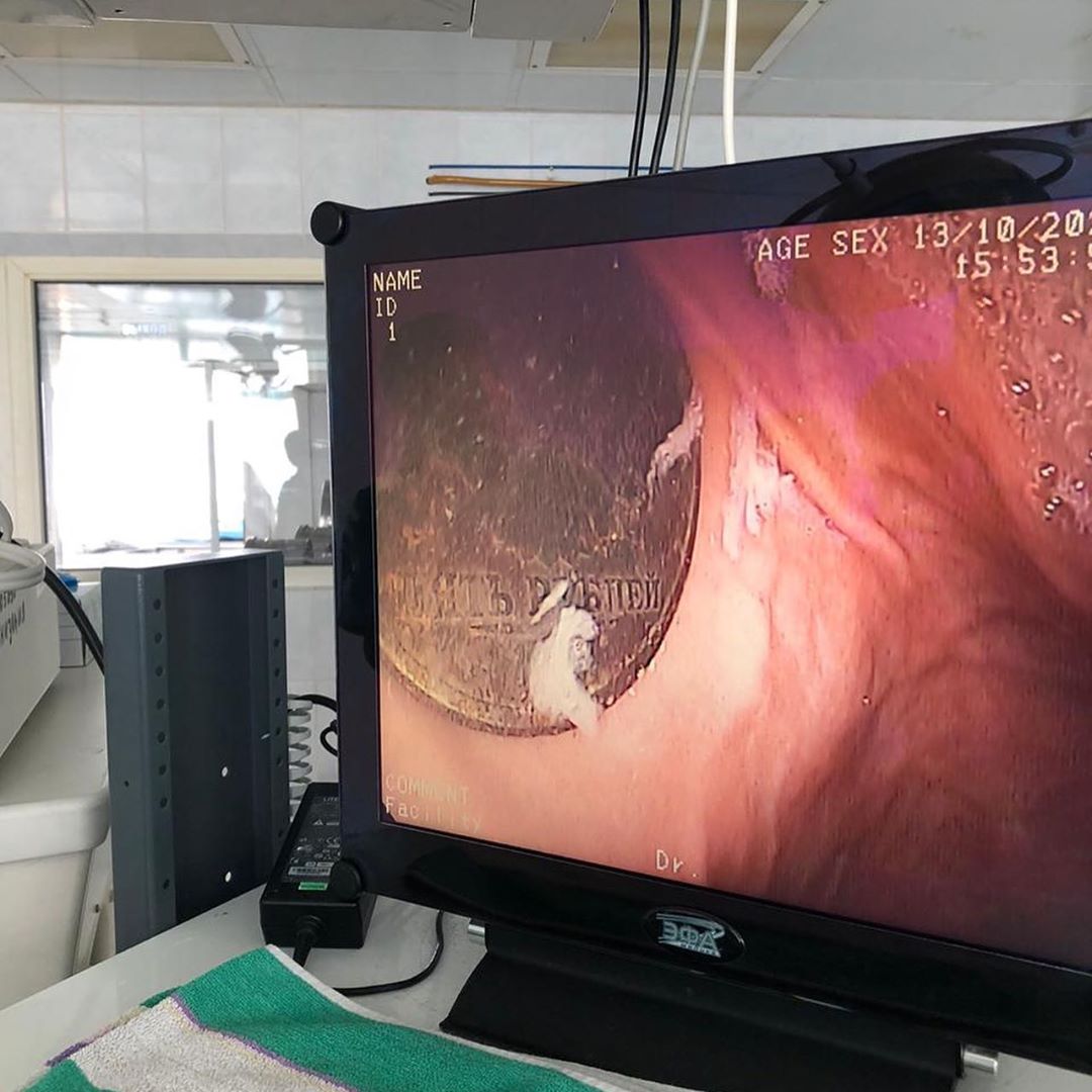 Орыс әуесқой кроссрессер порно, жеке Сперматозоидтар қынапқа өзен сияқты ағады