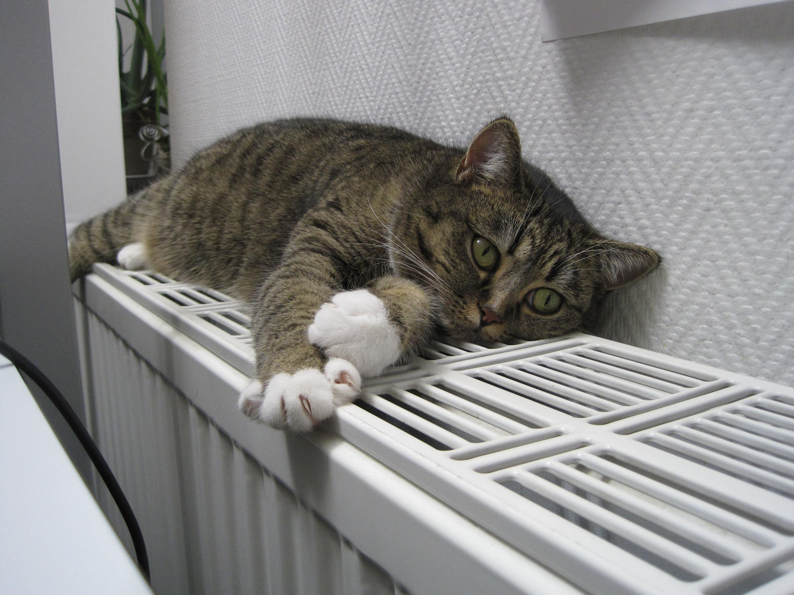 В Новороссийске люди мёрзли в квартирах всю зиму. С началом весны ничего не изменилось