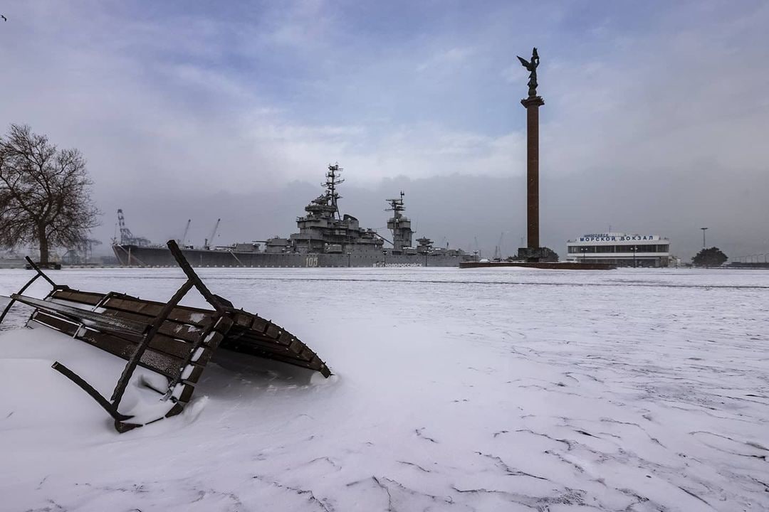 В Новороссийске норд-ост и мороз не мешают моржам купаться