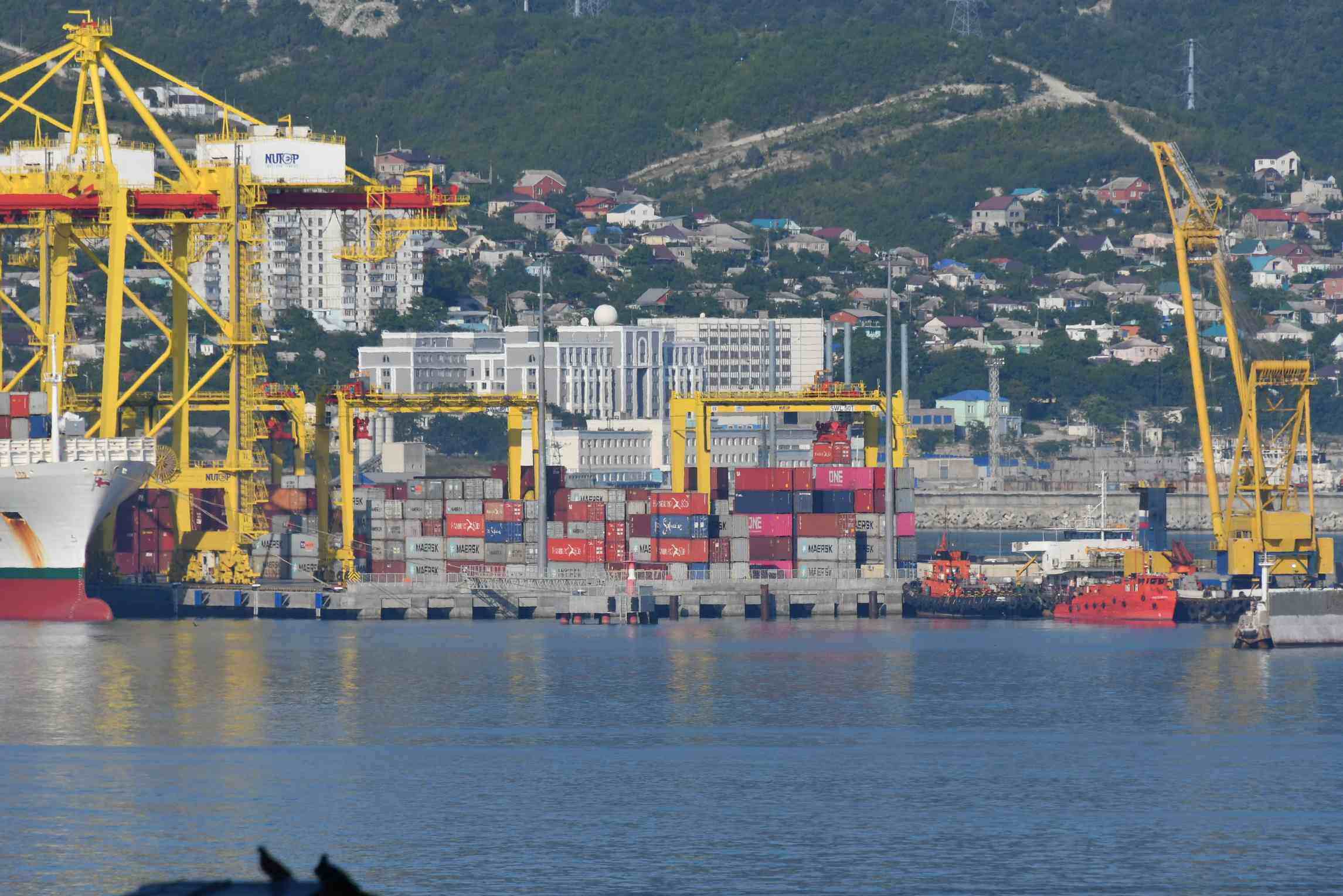 В новороссийском порту появится система непрерывного экологического мониторинга
