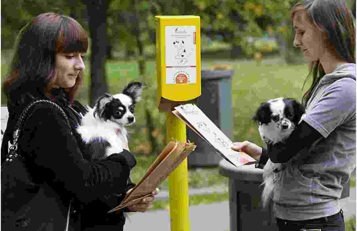 В Новороссийске стало понятно, требуется ли собакам в маршрутках намордник