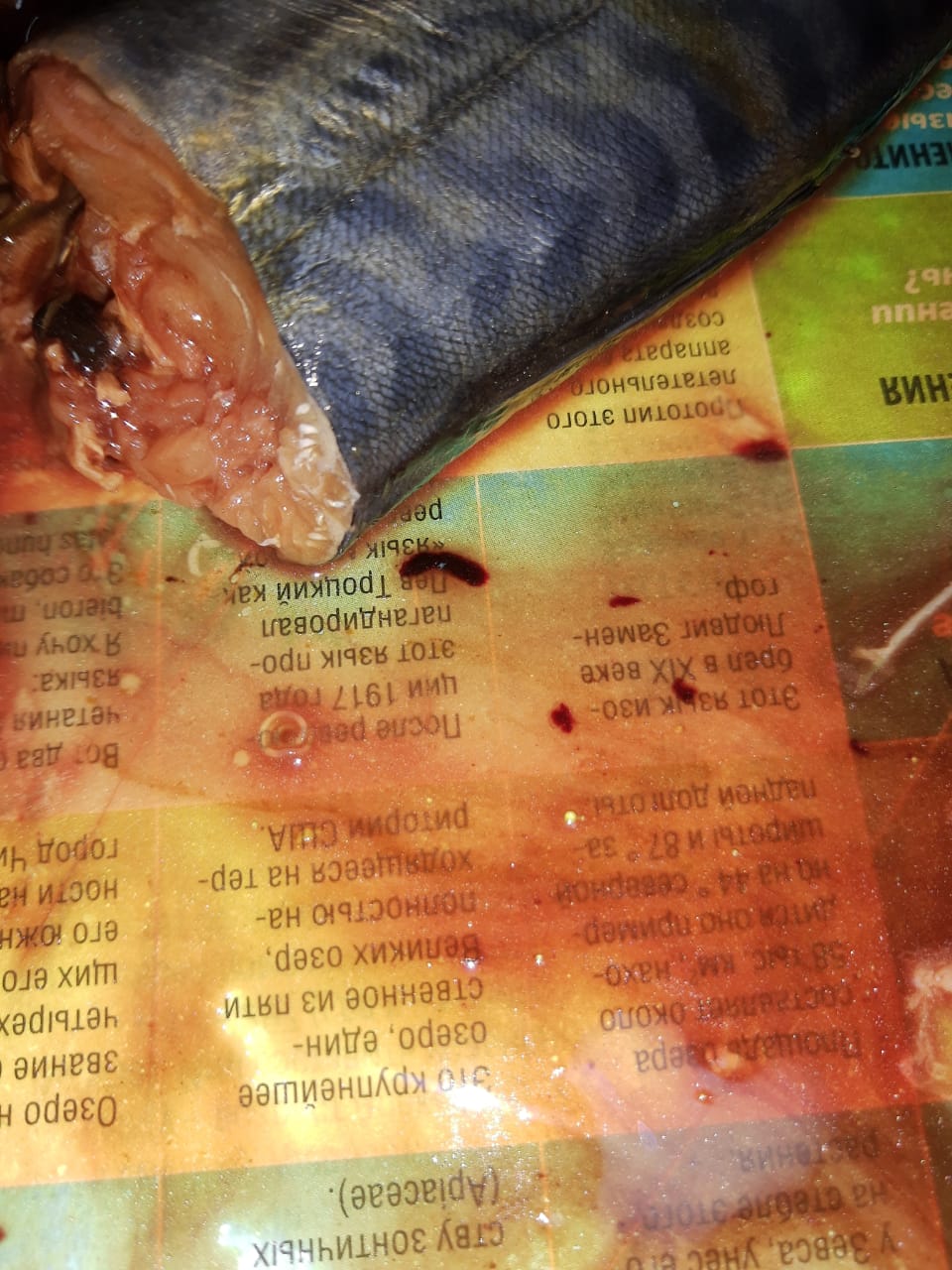 Новороссийцу не вернули деньги за рыбу с червями