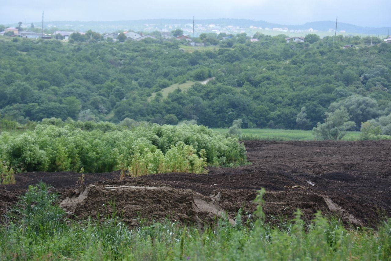 24 апреля 1921 года станица Раевская была переименована. Как? Читай ниже