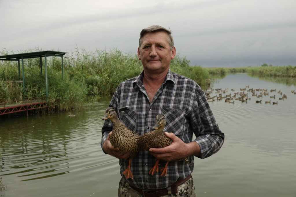 Более трехсот уток крякв выпущены в лиманы Славянского района