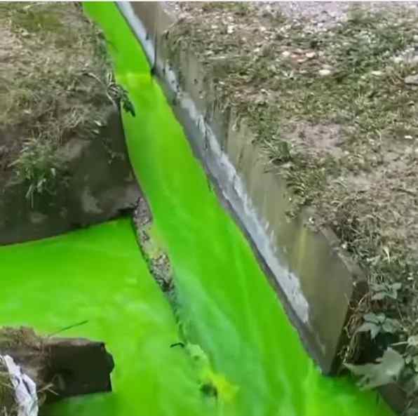 Ядовито-зеленая вода в ливневке Новороссийска. Кто виноват?
