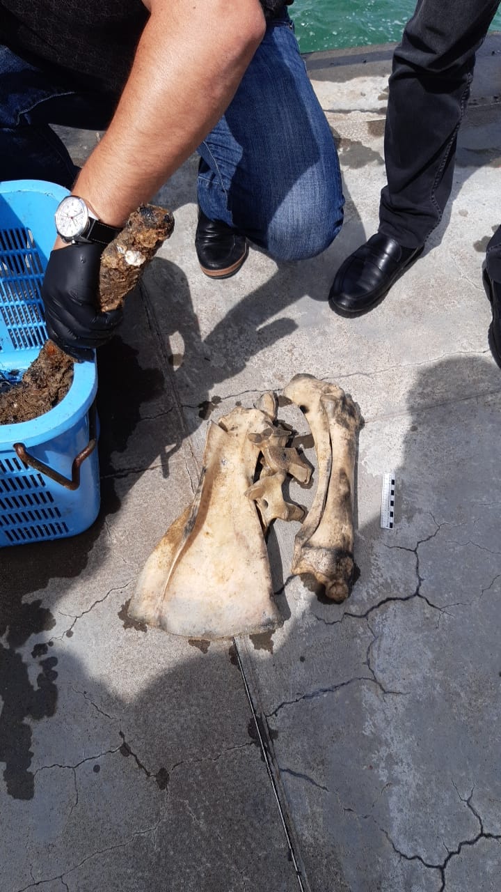 В Цемесской бухте Новороссийска найден скелет человека