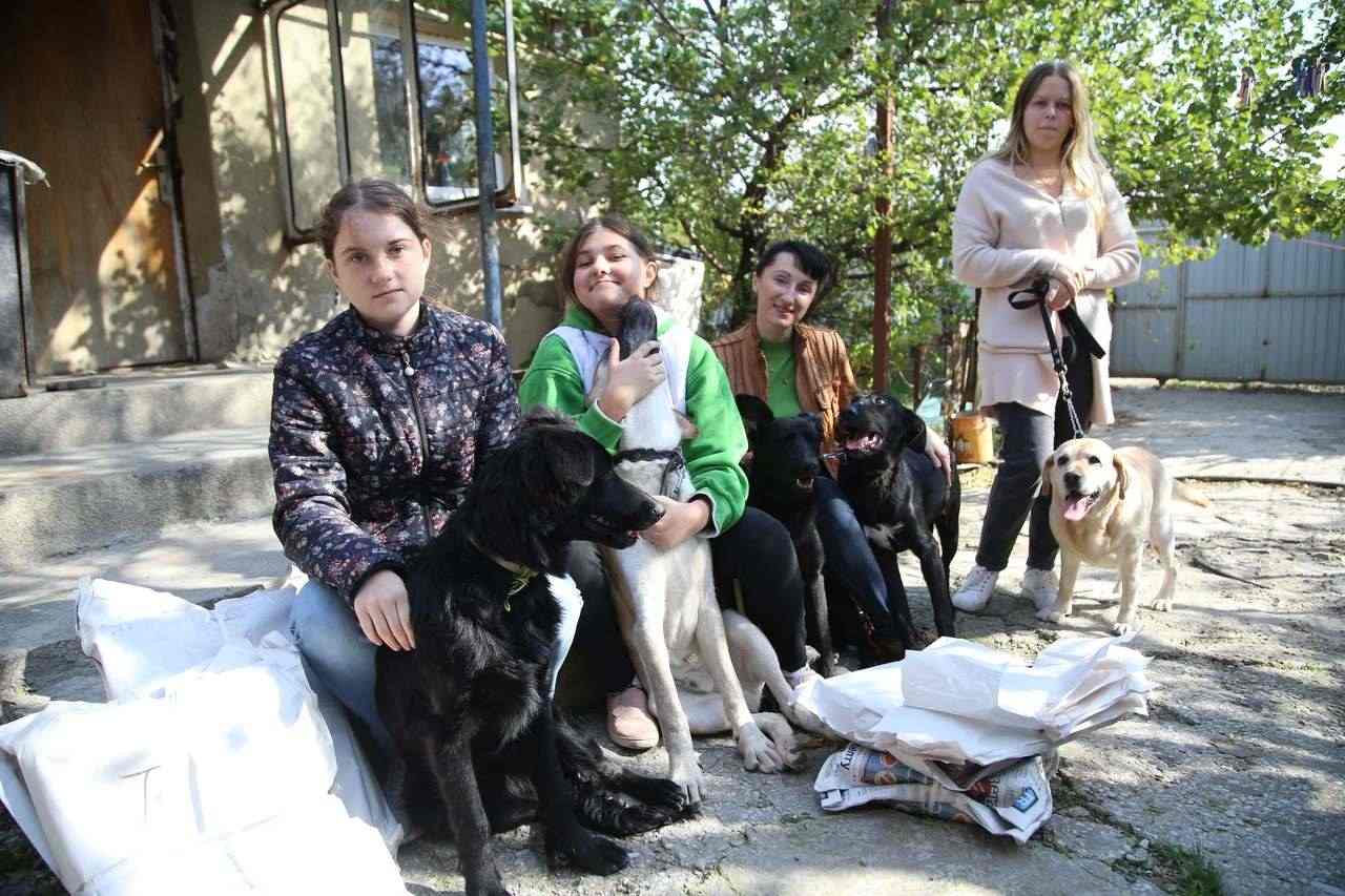 В Новороссийске проходит «теплая акция» для бездомных собак