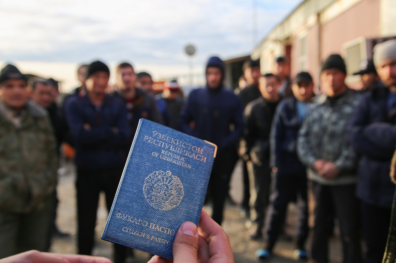 Новороссийских мигрантов, плохо говорящих по-русски, будут штрафовать?