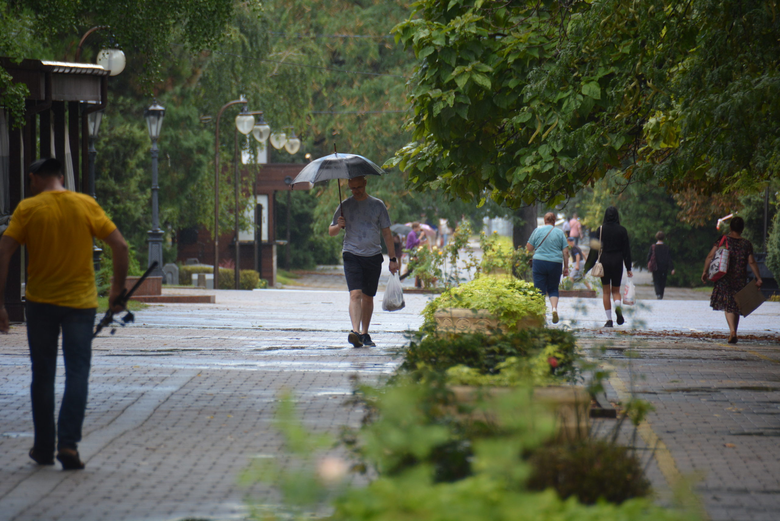 В Новороссийске ждут дождей и похолодание
