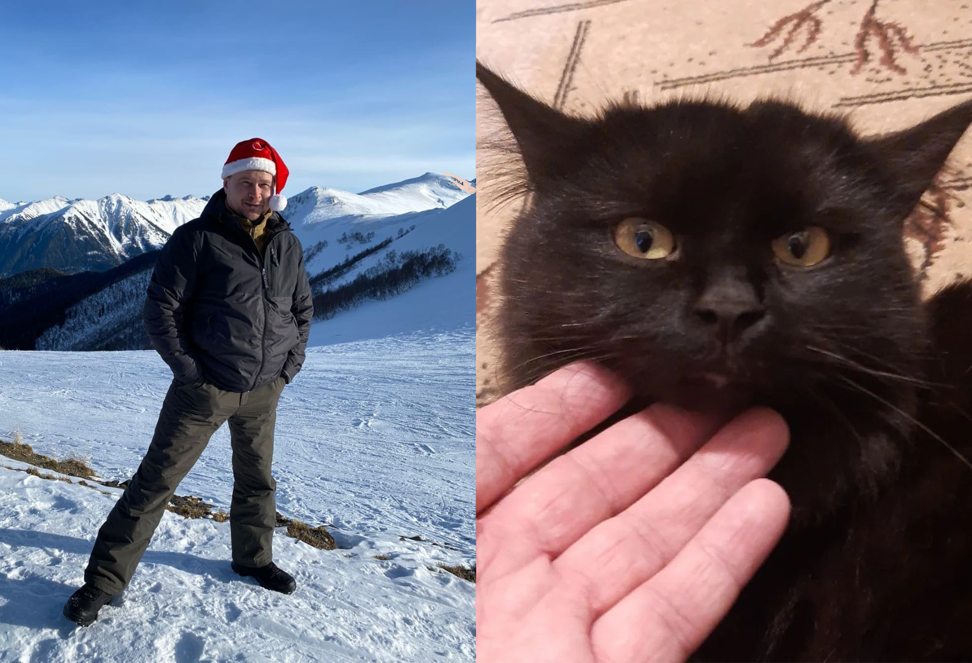 Чудом выживший кот, спасенный новороссийским блогером-походником, ищет дом
