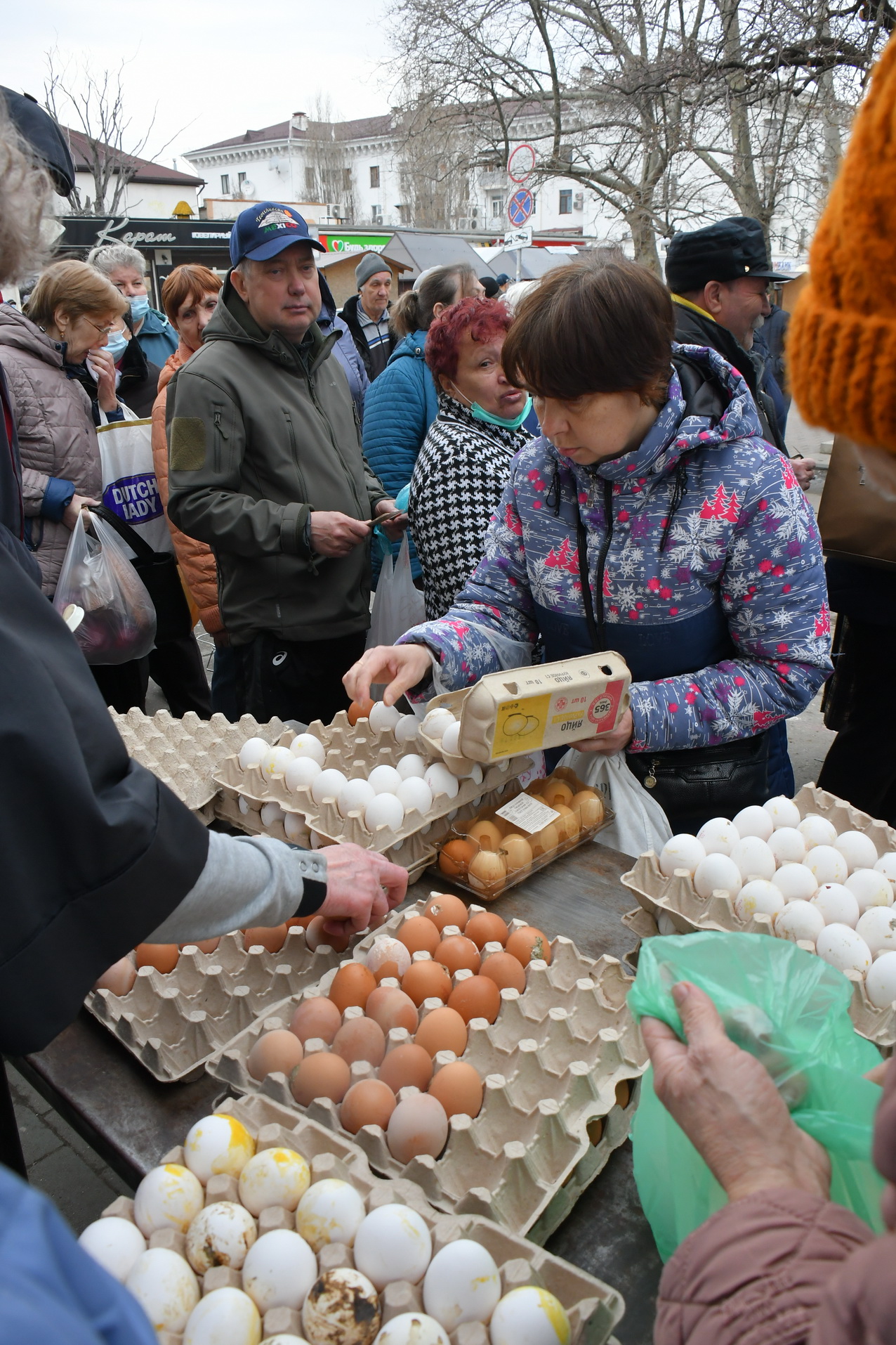 В Новороссийске можно ожидать профицита местных куриных яиц 