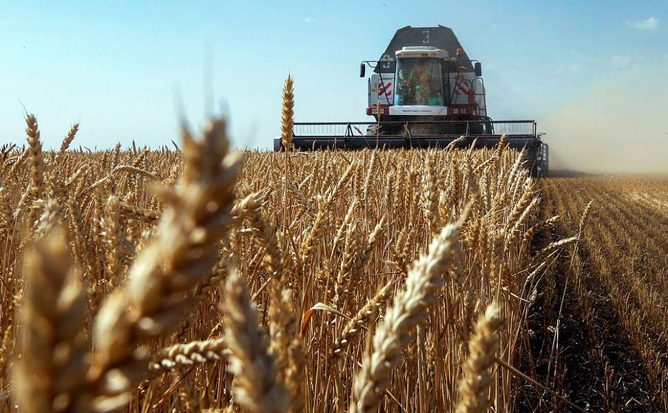 Для сельхозпредприятий Кубани доступны финансовые меры господдержки