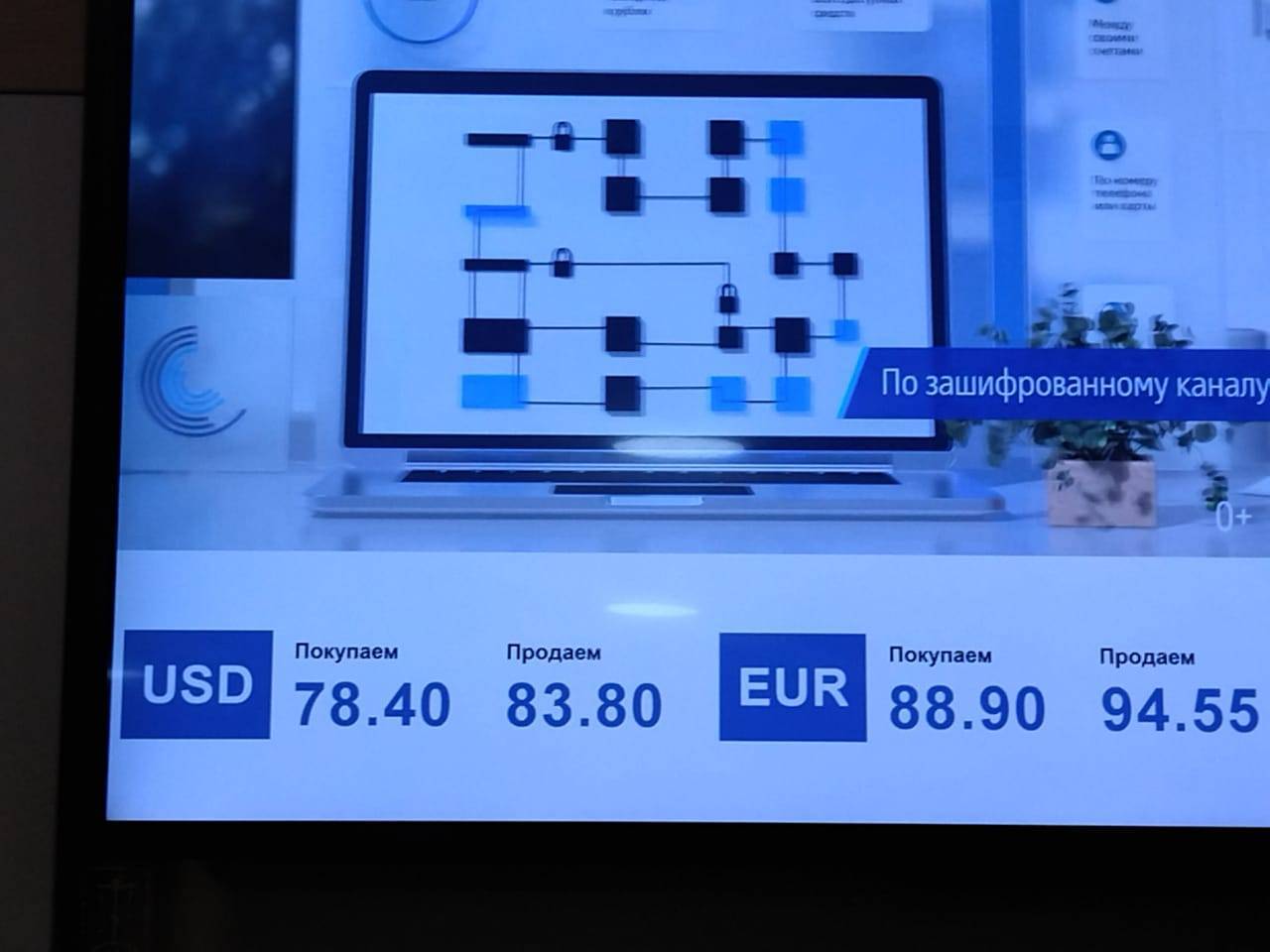 На «валютном пятачке» в Новороссийске на фоне роста доллара-евро торговцы проявляют сдержанный оптимизм