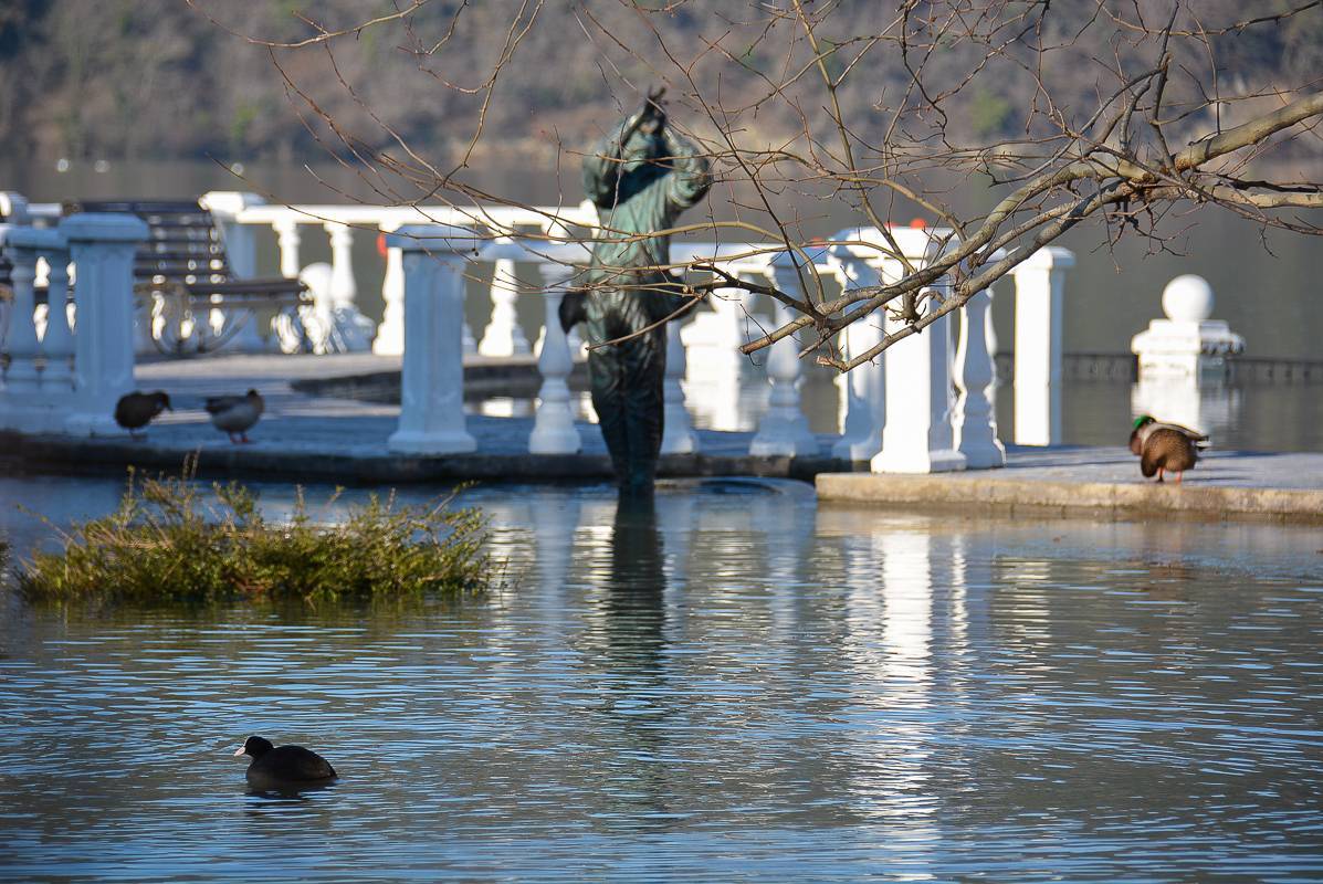 Советы дня на 27 ноября: о знаменитом завещании Нобеля, Библии и ветеринарах