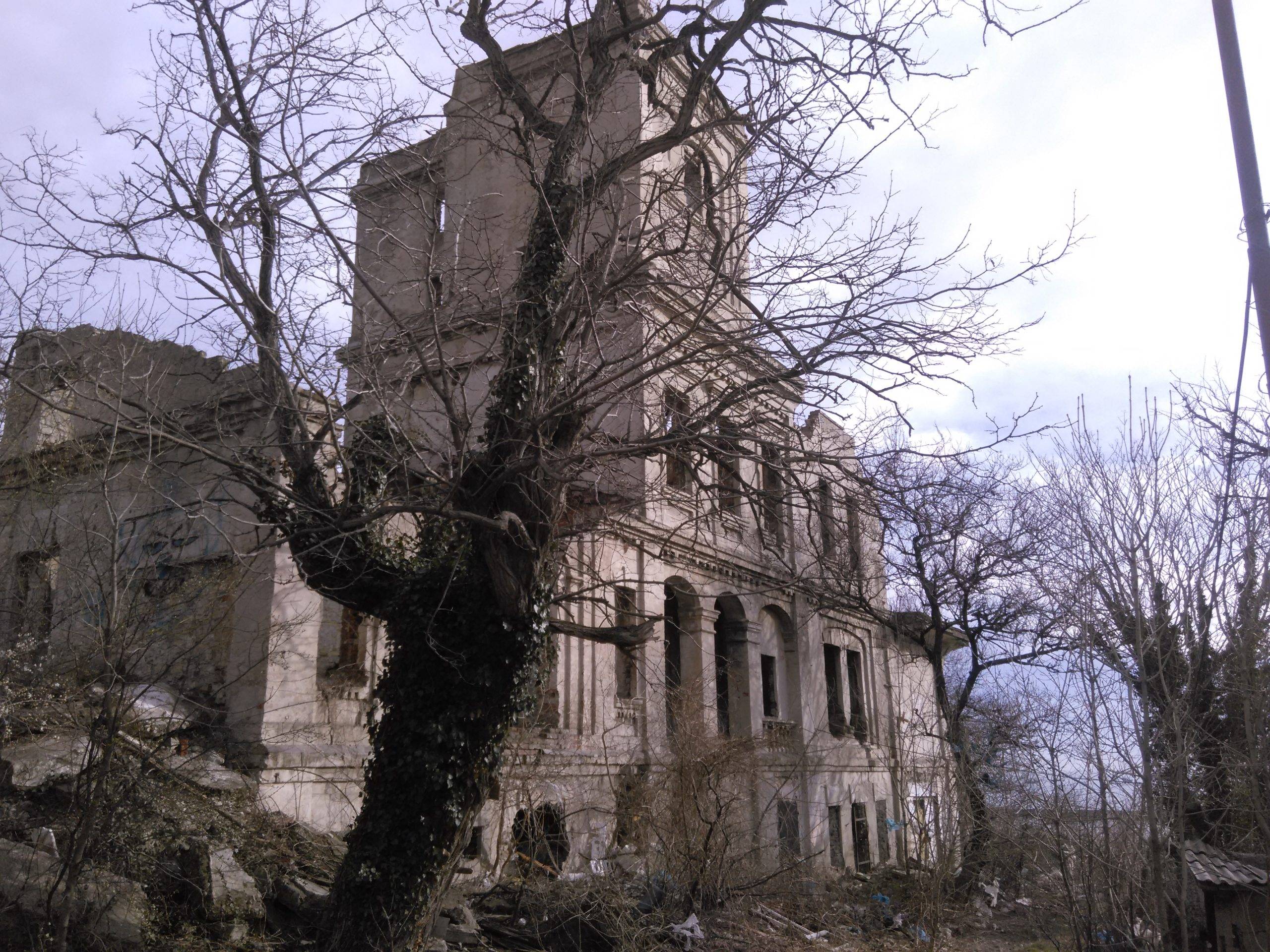 В Новороссийске за 1 рубль сдают в аренду легендарную дачу Щенсновича