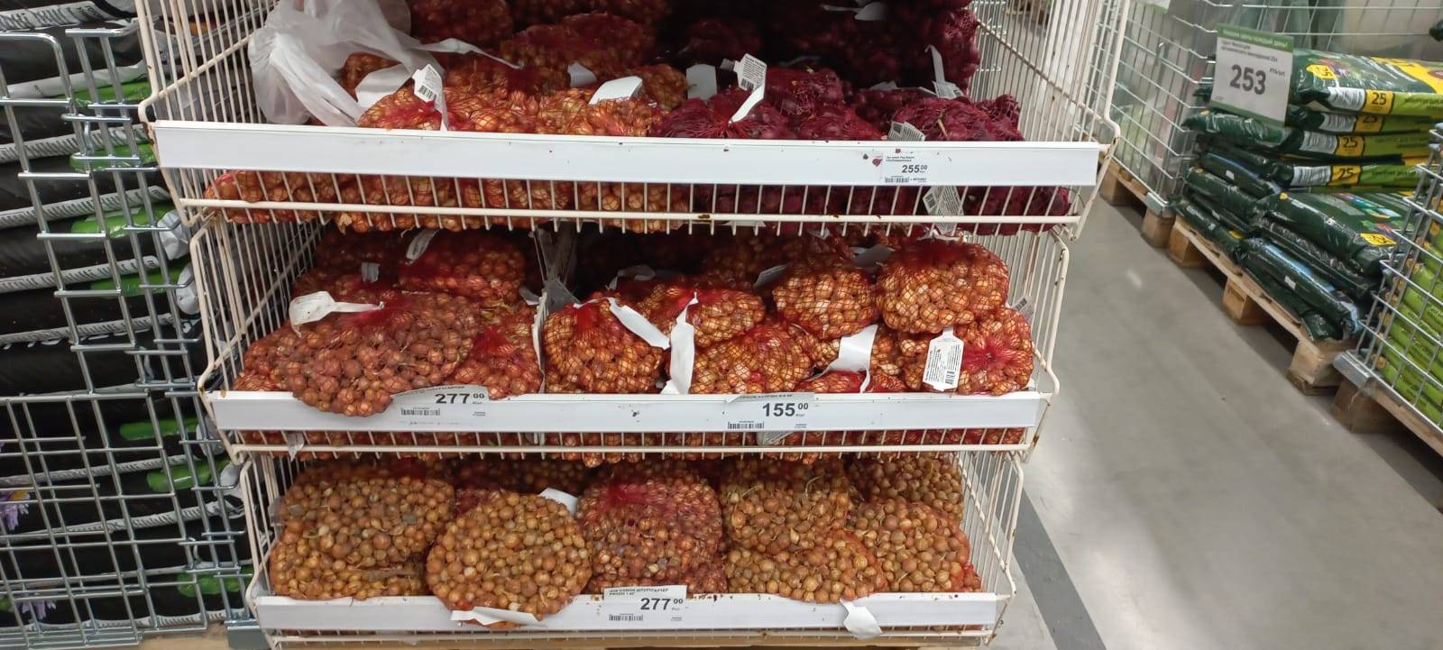 Семена в Новороссийске можно купить от 2 до 150 рублей за пакетик