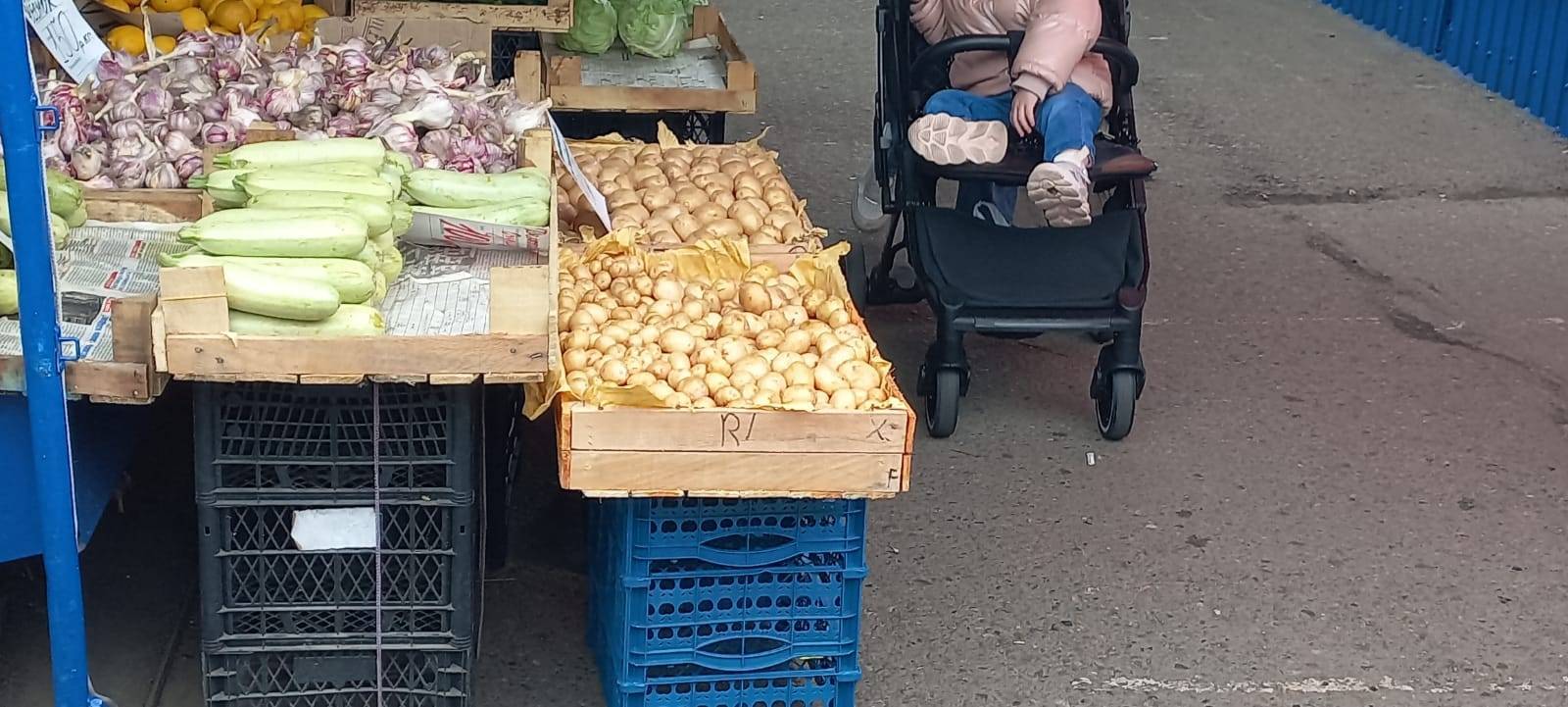 В Новороссийске появилась молодая картошка – мало и дорого
