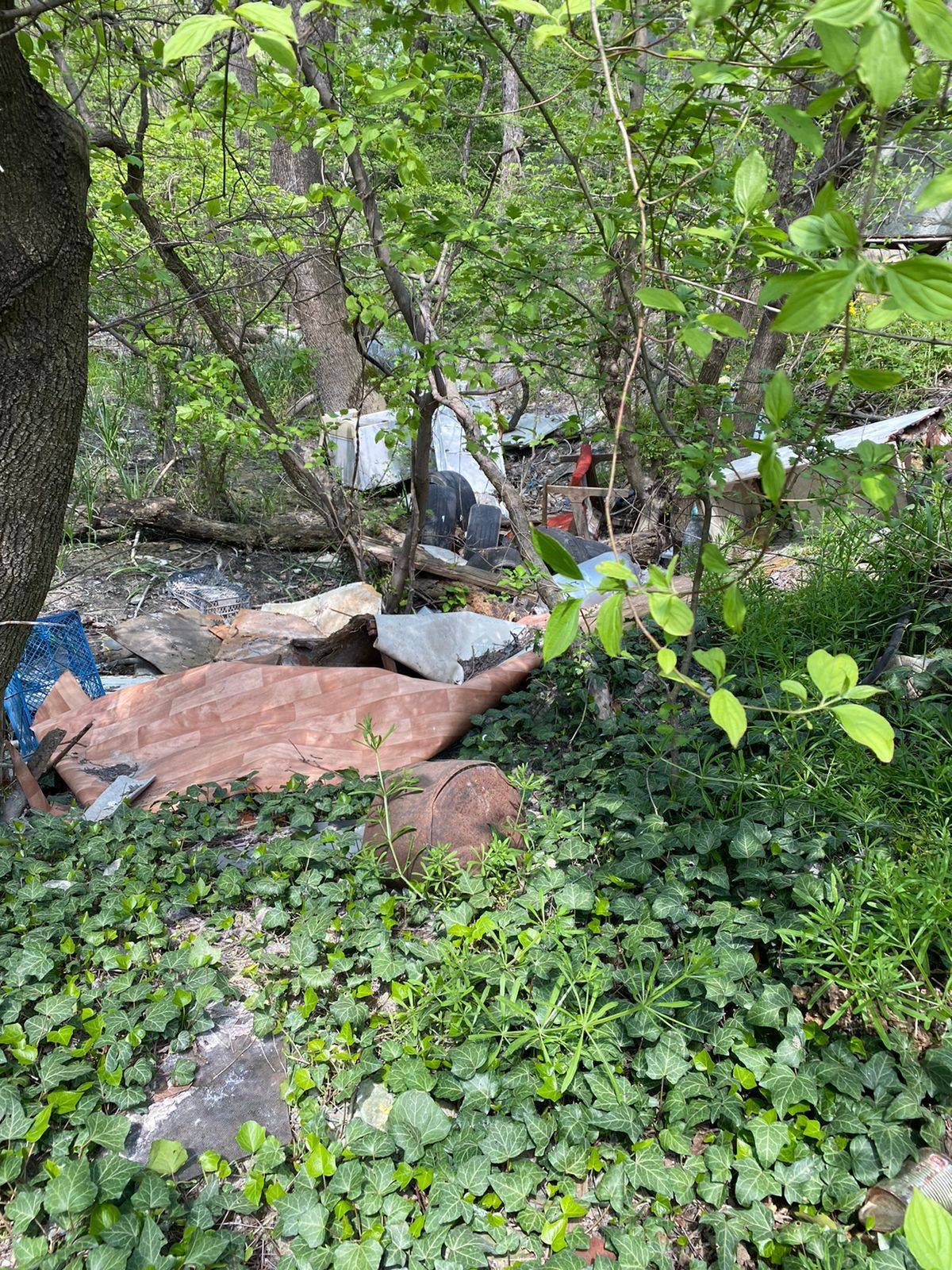 В Цемесской роще Новороссийска волонтёры убрали мусор, который выбрасывают жители «гаражного городка»