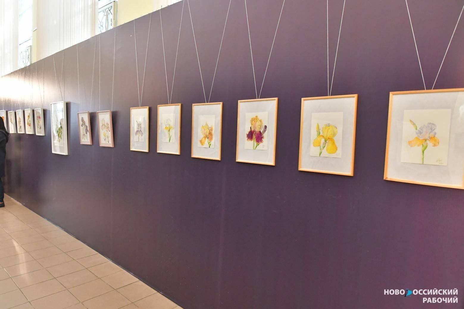В Новороссийске открылась выставка про «Красивую жизнь» с цветами баклажана