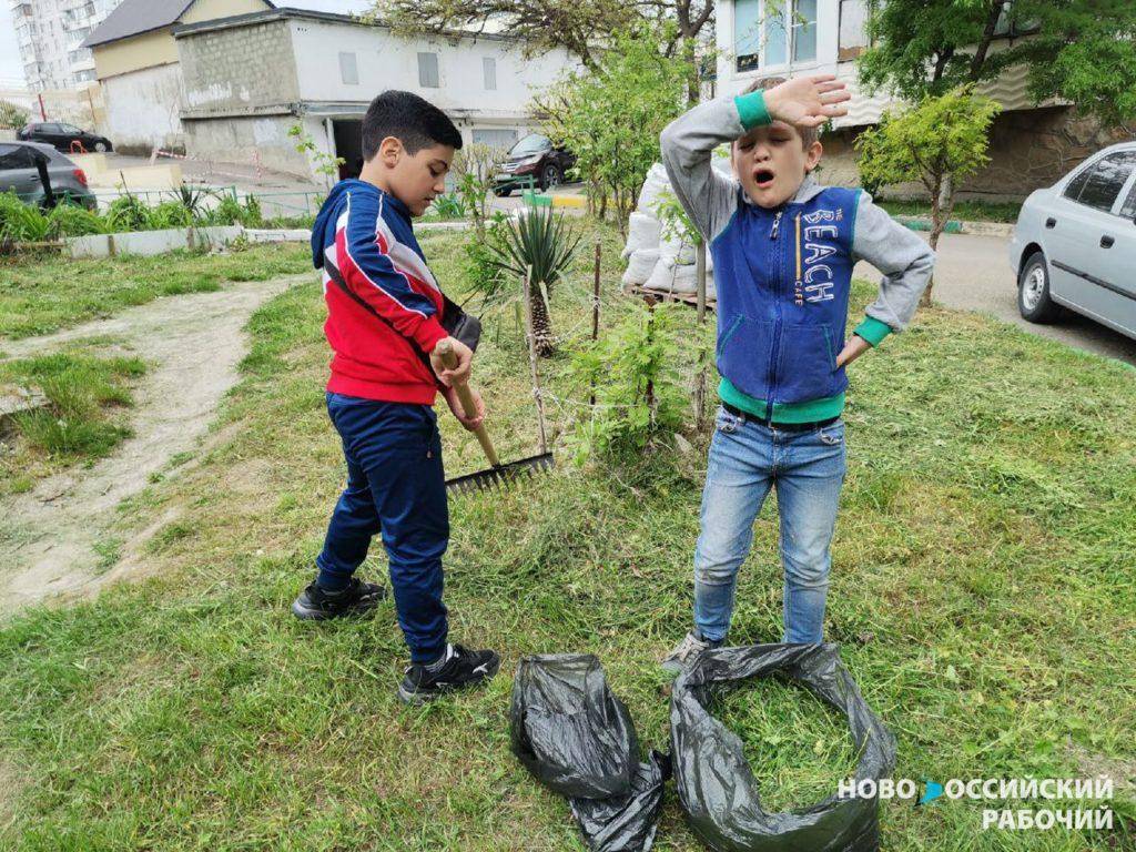 Новороссийский МКД поборется за звание «Самый дружный дом» России |  25.07.2022 | Новороссийск - БезФормата