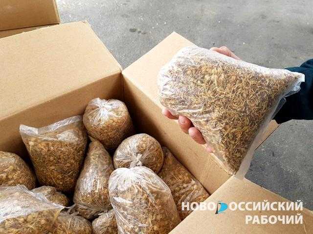 Новороссийские таможенники и пограничники обнаружили в контейнере из Узбекистана свыше тонны «нехорошего» растения