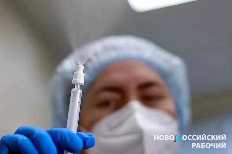В Новороссийске скоро будут делать новые прививки от коронавируса