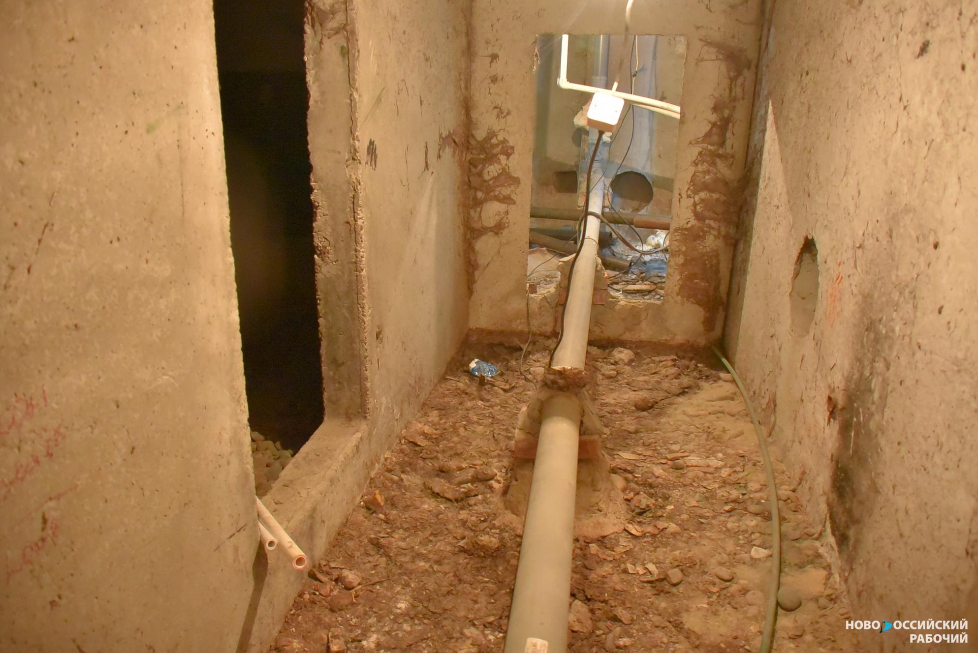 «В квартирах тучи кровососов». В затопленном подвале дома в Новороссийске завелась живность