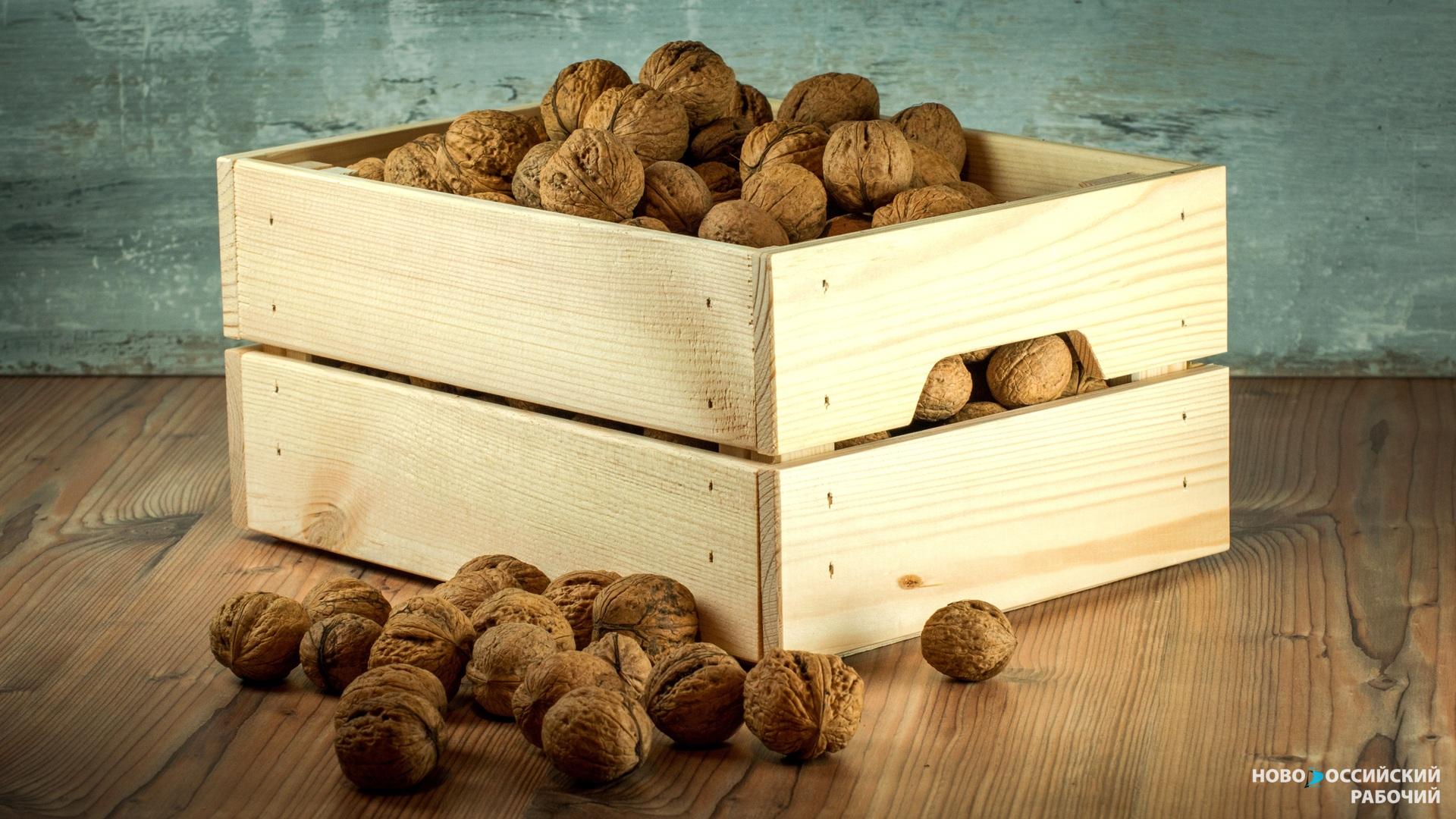 Осень – лучшее время размножать грецкий орех орехами