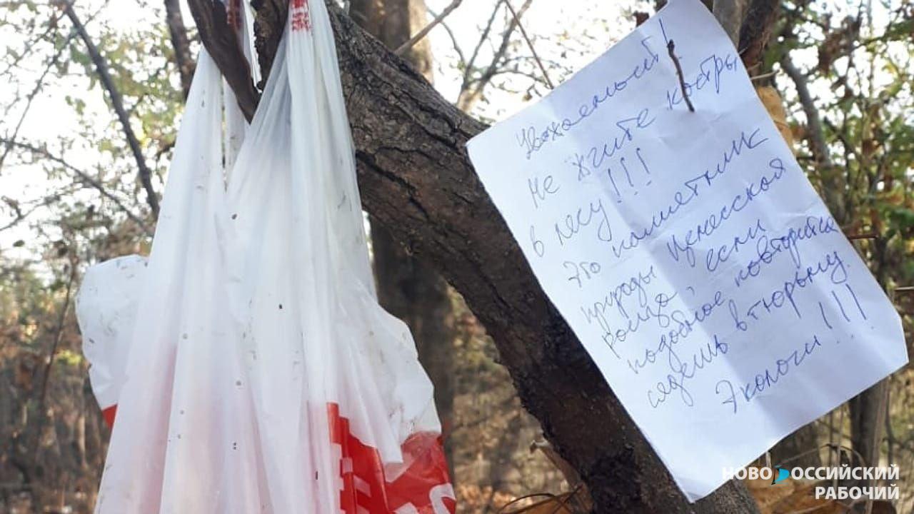 В Цемесской роще Новороссийска экологи оставили записку для бомжа, который чуть не устроил пожар