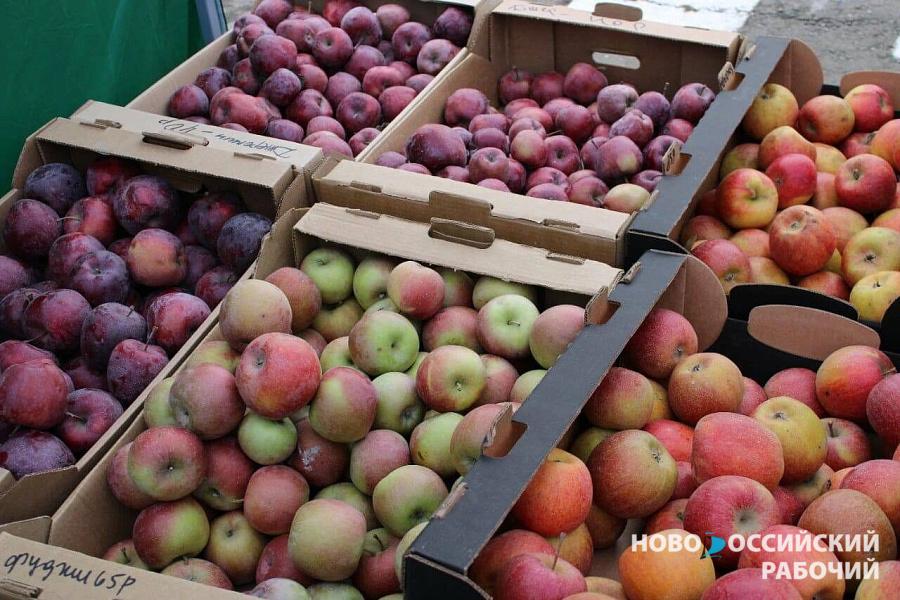 В Новороссийске начали продавать домашние яблоки и алычу