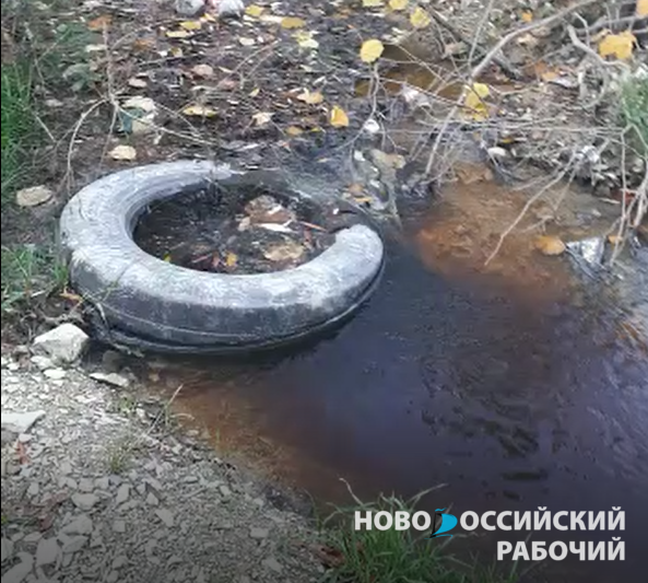 «Росприроднадзор» установил источник загрязнения реки Цемес в Новороссийске.   Это труба