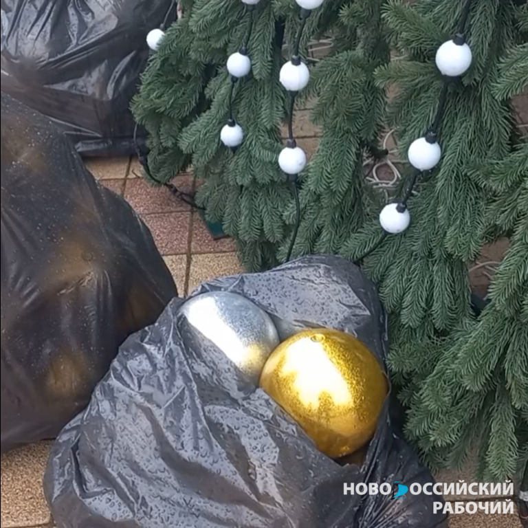 В Новороссийске под дождем украшают главную елку