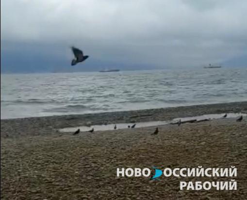 В Новороссийске в море полгода течёт горячая вода непонятного происхождения (видео)