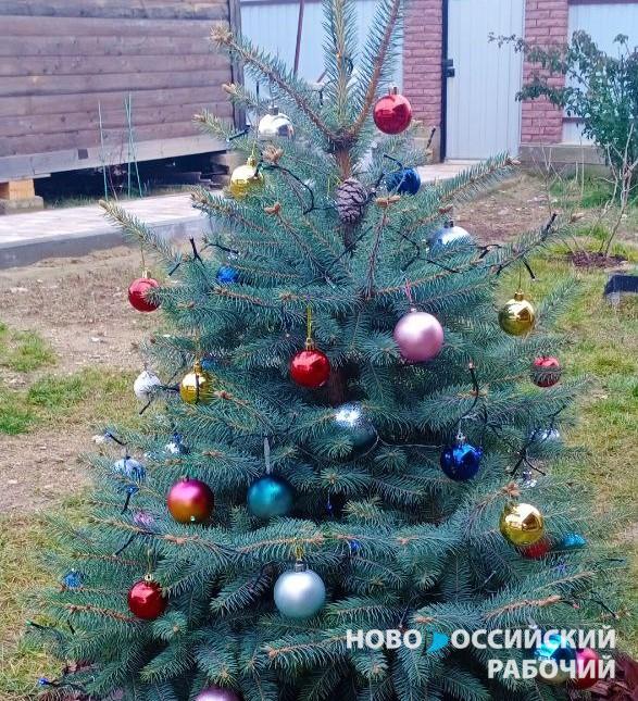 Жители села под Новороссийском провели конкурс домашних елок