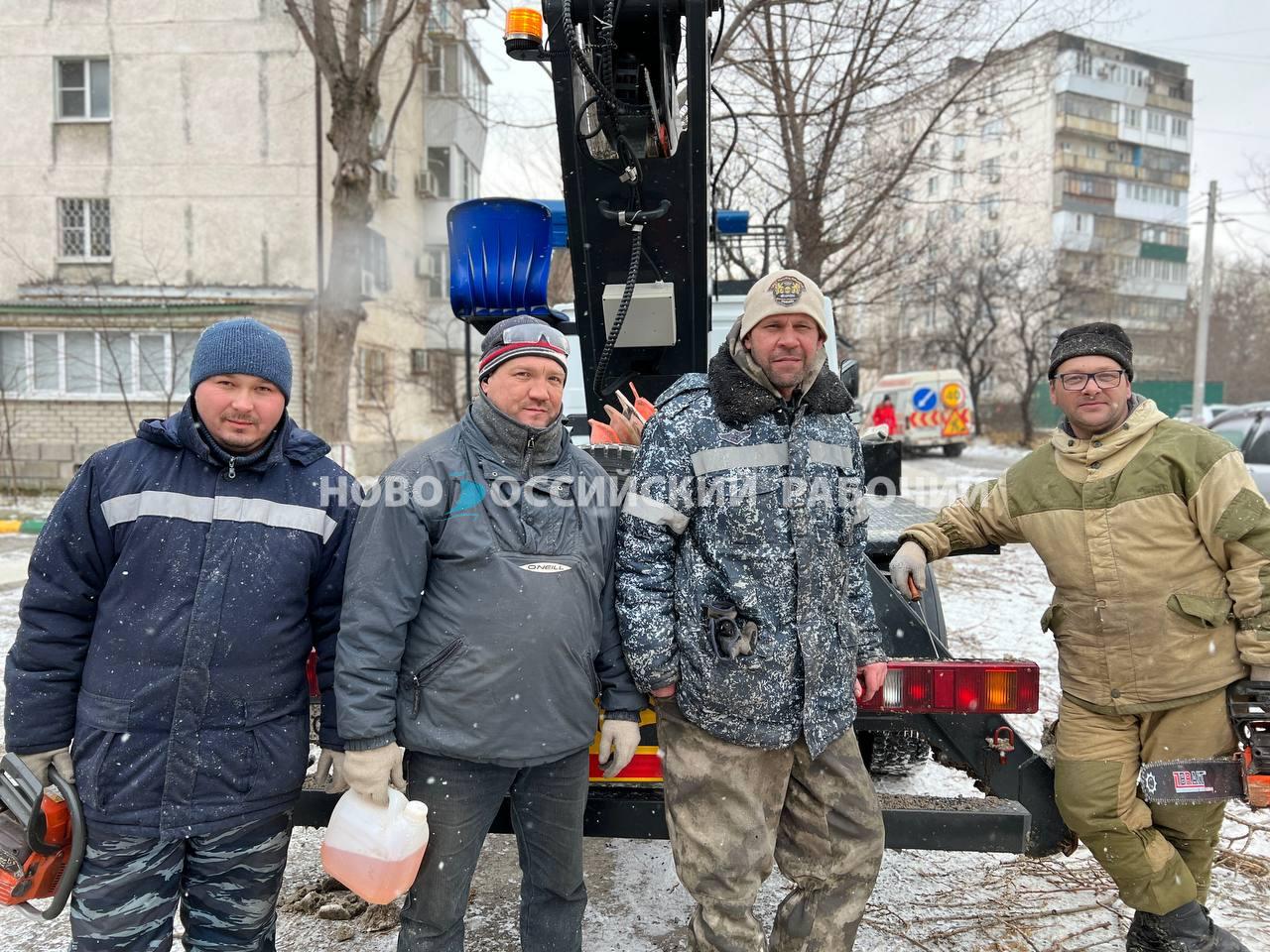 Деревья в Новороссийске не выдерживают норд-оста и падают, а люди на ветру  держатся, работают – Новости Новороссийска