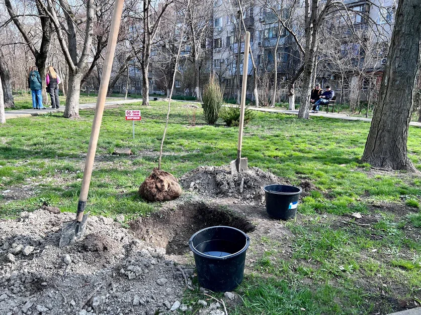 В Новороссийске жители сажают «Сады памяти» и готовы их охранять