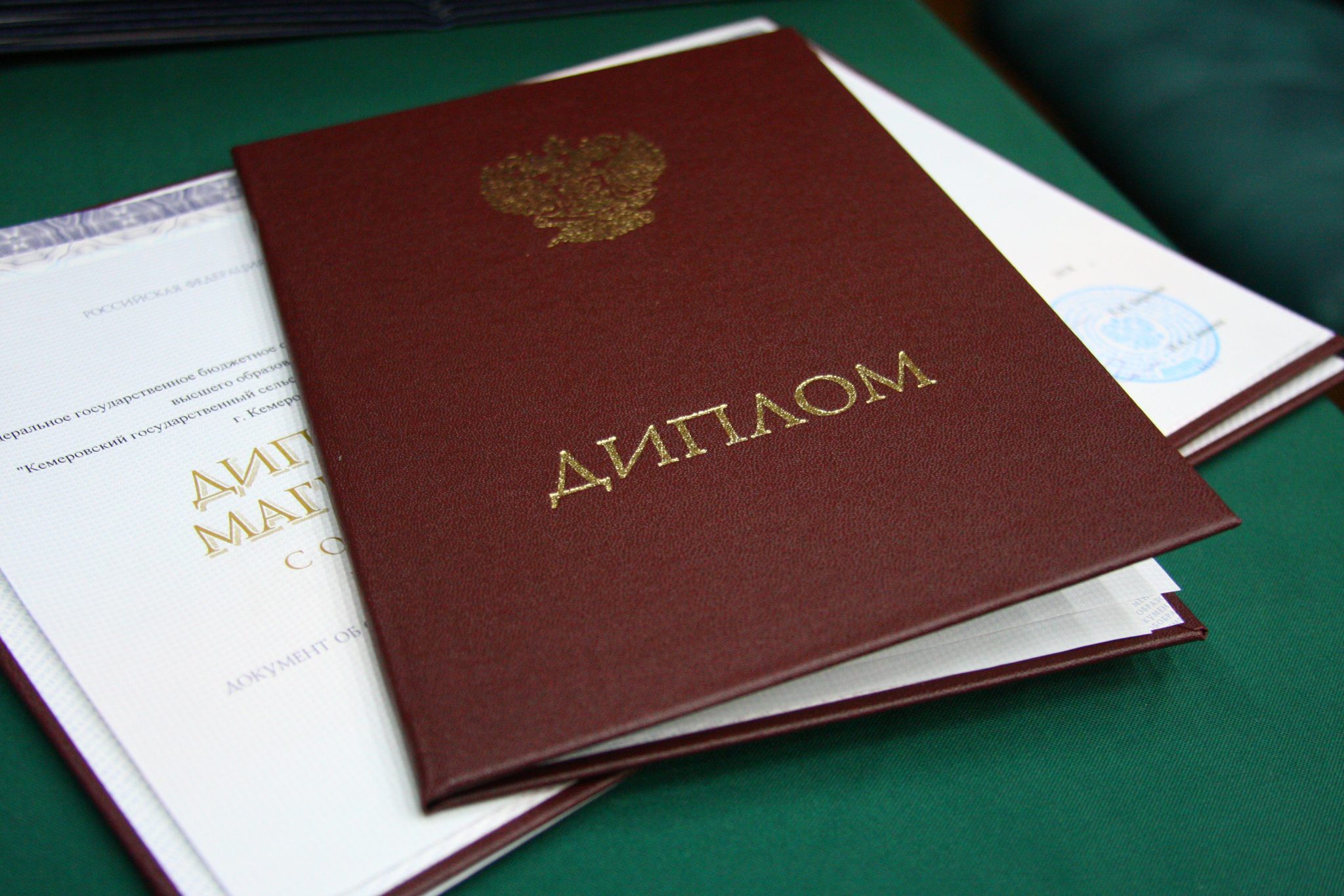В Новороссийске будут судить экс-чиновницу, которая работала по «липовому» диплому