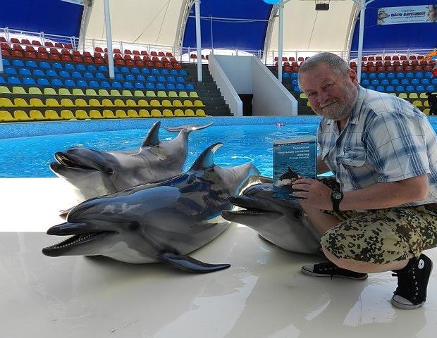 Под Новороссийском записали «автографы» дельфинов, которые позволят ими управлять