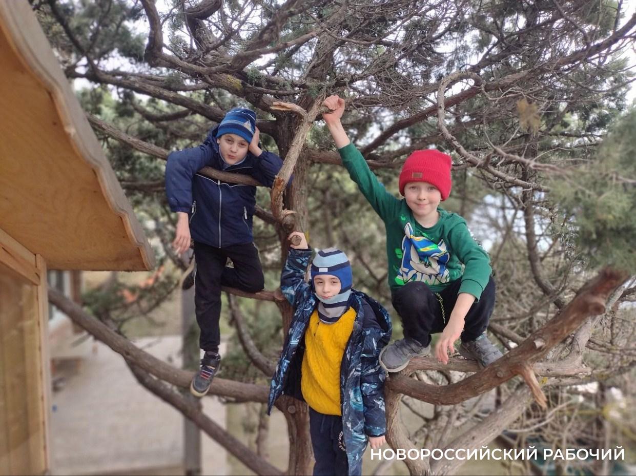 Многодетный отец из Новороссийска смастерил детям домик на дереве и необычные тренажеры