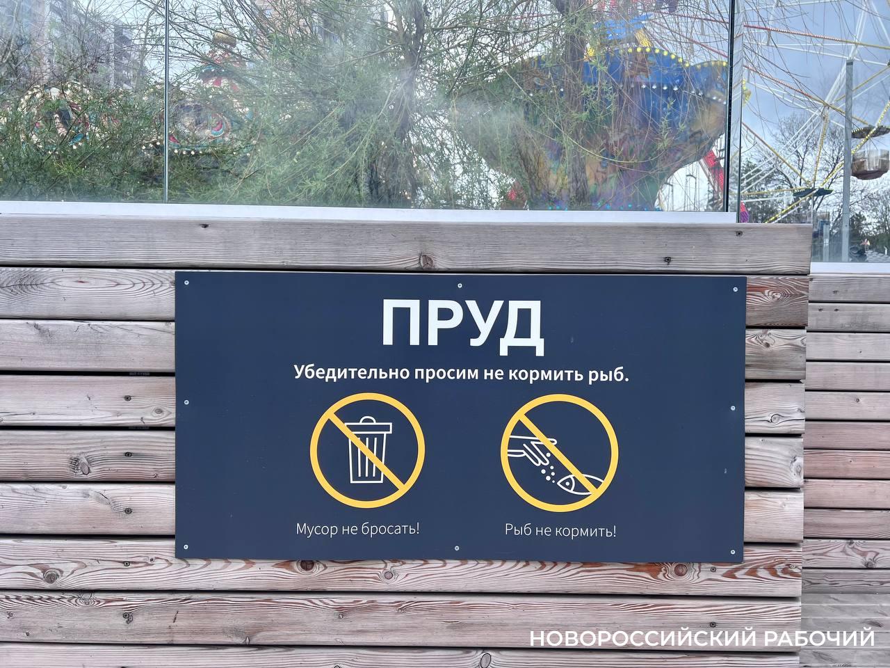 Коммунальщики Новороссийска устали от бескультурных жителей