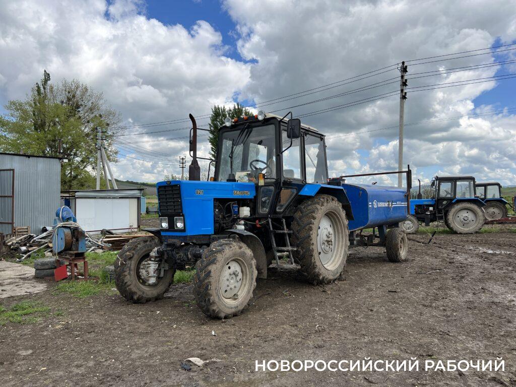 Под Новороссийском цветет самый большой на юге страны черешневый сад. Как  выживают современные фермеры | 12.05.2023 | Новороссийск - БезФормата