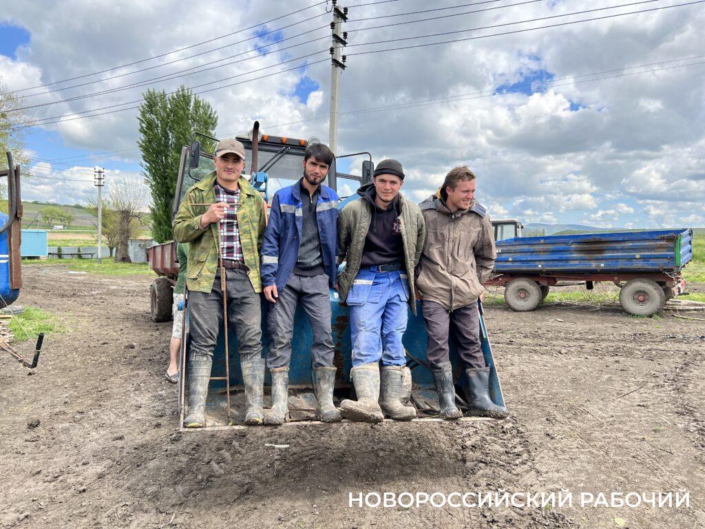 Под Новороссийском цветет самый большой на юге страны черешневый сад. Как  выживают современные фермеры | 12.05.2023 | Новороссийск - БезФормата