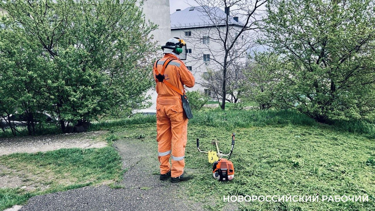 В Новороссийске косят газоны местами. Ситуацию будут исправлять