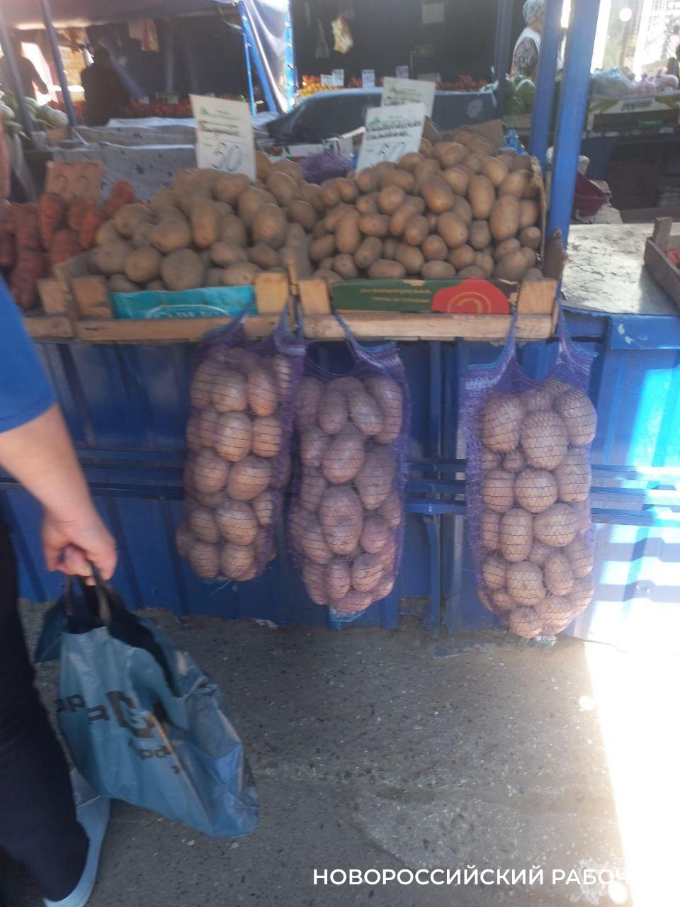 В Новороссийске сравнялись цены на старую и молодую картошку